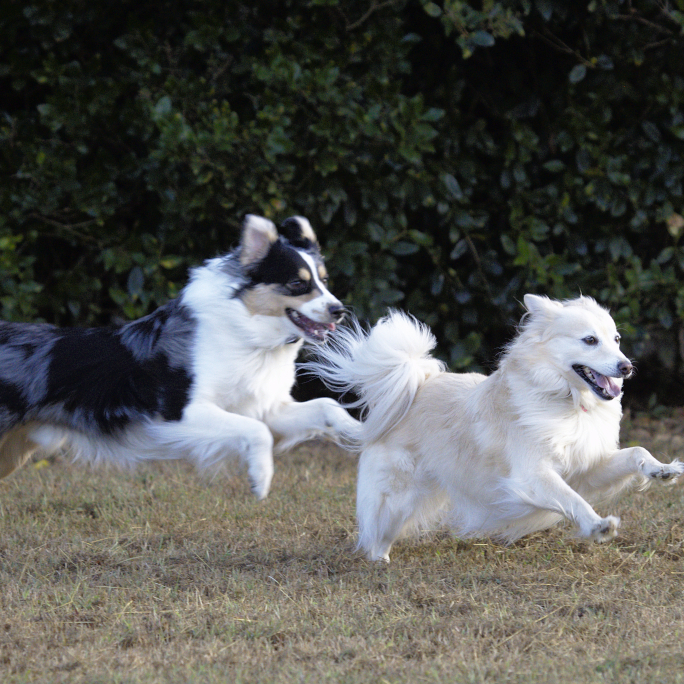 Haley leads the way, while Cole accelerates.